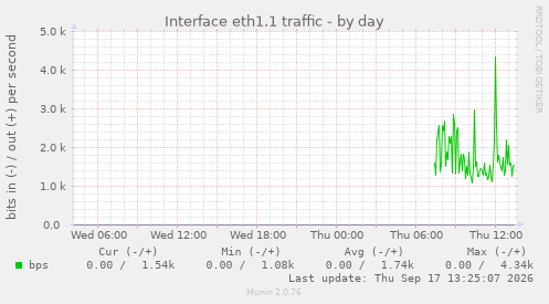 Interface eth1.1 traffic