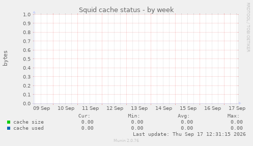 Squid cache status